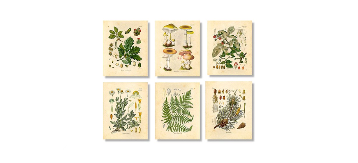 Best Ink Inc.Vintage Botanical Prints Best Ink Inc.Vintage Botanical Prints