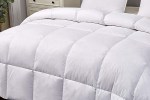 Queen Duvets