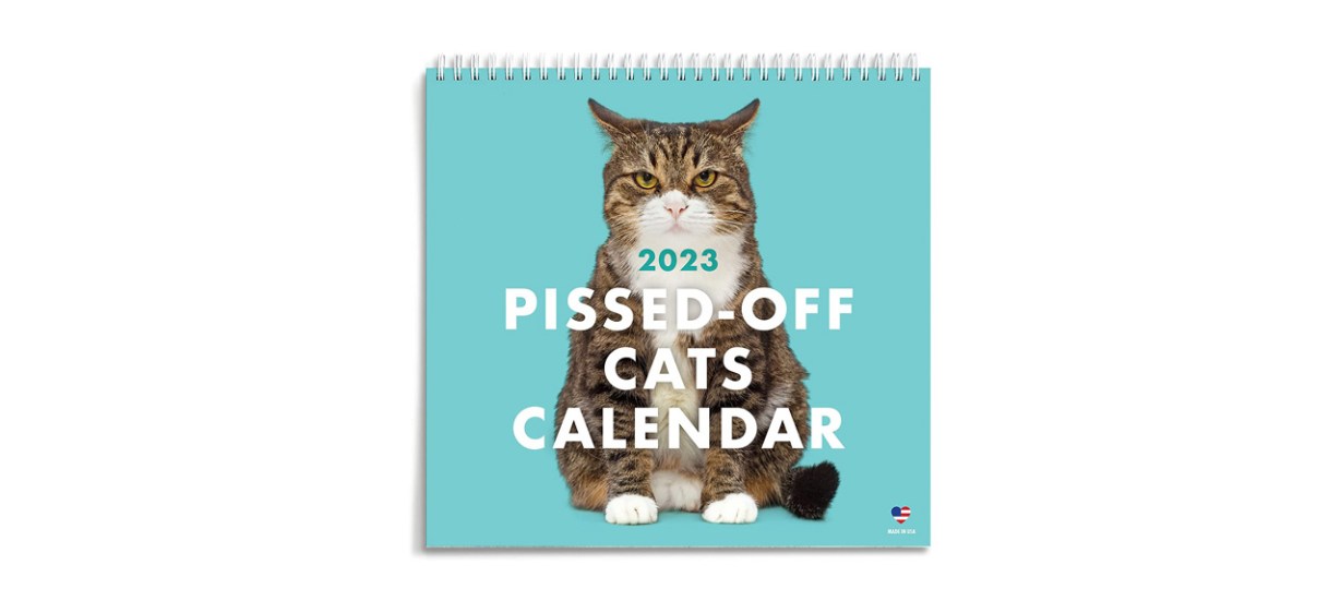 Best Raccoon Society 2023 Premium Snarky Cat Calendar