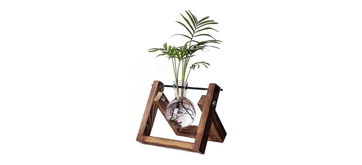 Kingbuy Plant Propagation Station Air Plant Terrarium