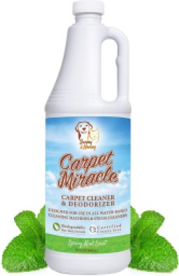 5 Best Carpet Cleaning Solutions - Mar. 2025 - BestReviews
