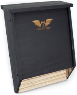 BIGBATBOX