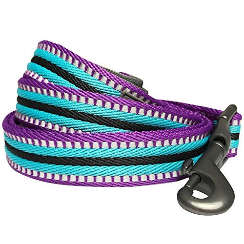 Blueberry Pet 3M Reflective Striped Dog Leash