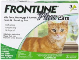 Frontline