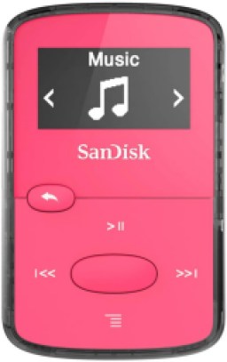 SanDisk